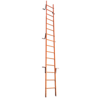Gebrauchte Leiter 16 Sprossen - 4,40 m