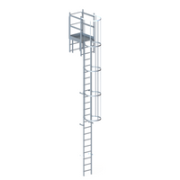 Steigleiter mit Rückenschutzkorb 6000 mm Attikaausstieg 725 mm