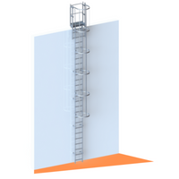 Aluminium-Steigleiter mit Rückenschutzkorb 7000 mm Ausstieg mit Trittstufe und Zugangstür