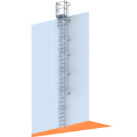 Steigleiter Aluminium mit Rückenschutzkäfig 8000 mm – Ausstieg mit Stufe und Tür