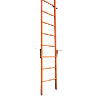 Gebrauchte Leiter 18 Sprossen - 4,95 m
