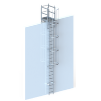 Steigleiter mit Rückenschutzkorb 6000 mm Attikaausstieg 725 mm