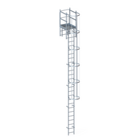 Steigleiter mit Rückenschutzkorb 7000 mm Attikaausstieg 725 mm