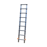 Dachleiter-Verlängerung Aluminium 2 m für Hakendachleiter