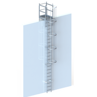 Aluminium-Steigleiter mit Rückenschutzkorb 5000 mm Attikaausstieg 725 mm
