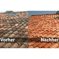 Anti-Moos für Dach und Fassade - 5 + 1 gratis