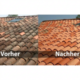 Anti-Moos für Dach und Fassade - 5 + 1 gratis