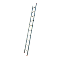 Gebrauchte Leiter 10 Sprossen - 3,41 m