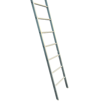 Gebrauchte Leiter mit Haken 10 Sprossen - 3,08 m
