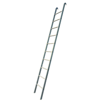Gebrauchte Leiter mit Haken 10 Sprossen - 3,08 m