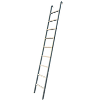 Gebrauchte Leiter mit Haken 9 Sprossen - 3,10 m