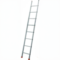 Einteilige Anlegeleiter mit Sprossen / Leiterhöhe 2,89 m / GENIA GS300