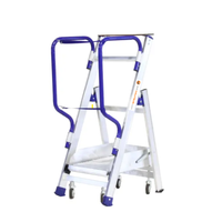 Mini Fly – sichere Rollplattform für die Regalbestückung – Arbeitshöhe 2,25 m – lackiertes Aluminium – 4 Lenkrollen