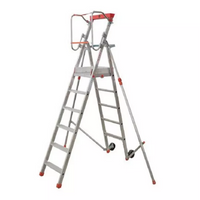Trittleiter nach Baunorm Arbeitshöhe 3,59 m - 5 Stufen + Plattformen – PLATEA PLT-06