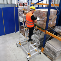 Nicht klappbare Regal- und Lagerplattform – Arbeitshöhe 5 m