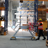 Montage- und Lagerplattform doppelseitig begehbar - Arbeitshöhe 2,75 m